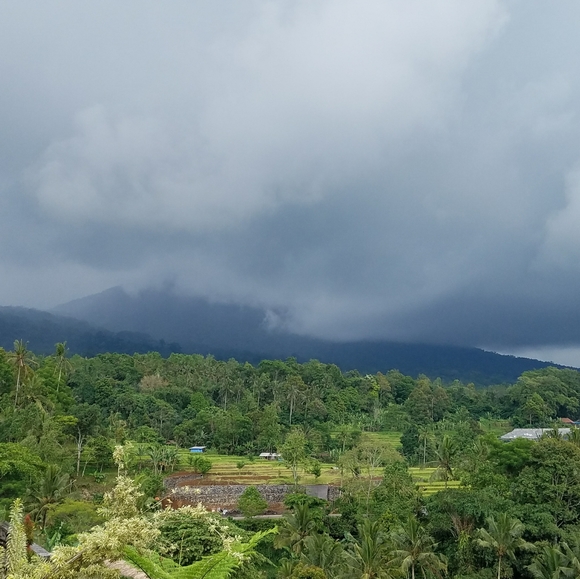 Meet your Posher - Picture 3 of 8